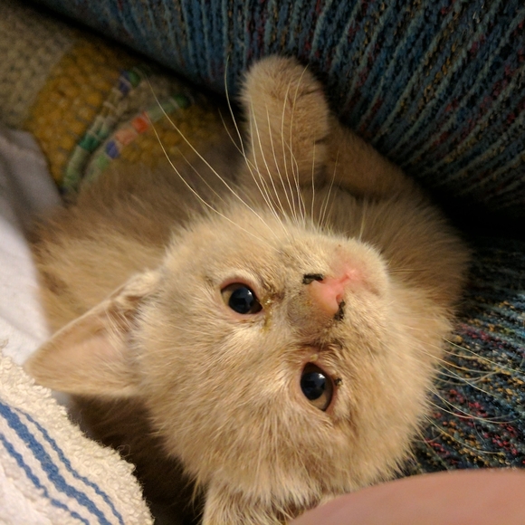 Meet your Posher, Sherry - Picture 3 of 16